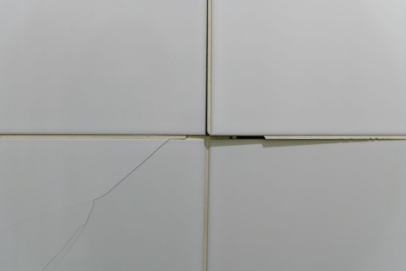 Chipped Tile Repair